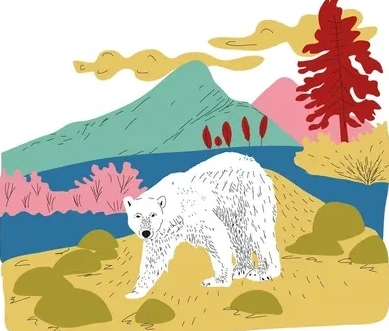 Lake Bear