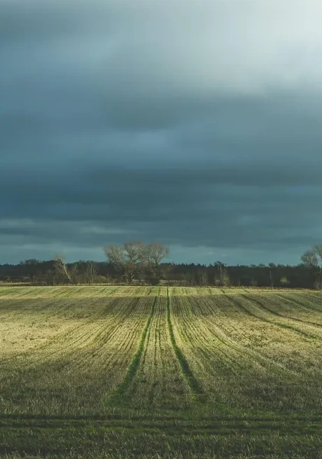 Land