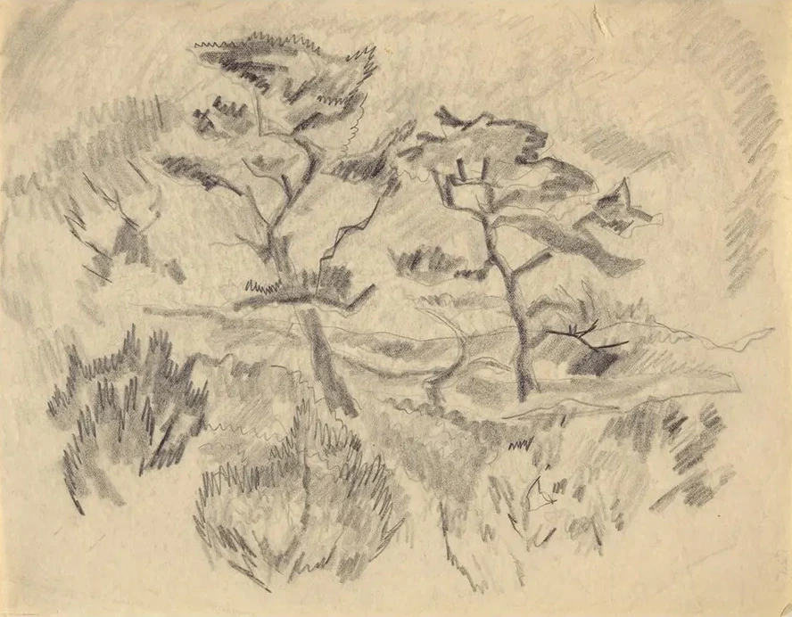 Landscape (bermuda Orprovincetown)