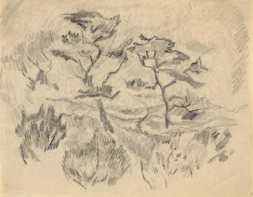 Landscape (bermuda Orprovincetown)