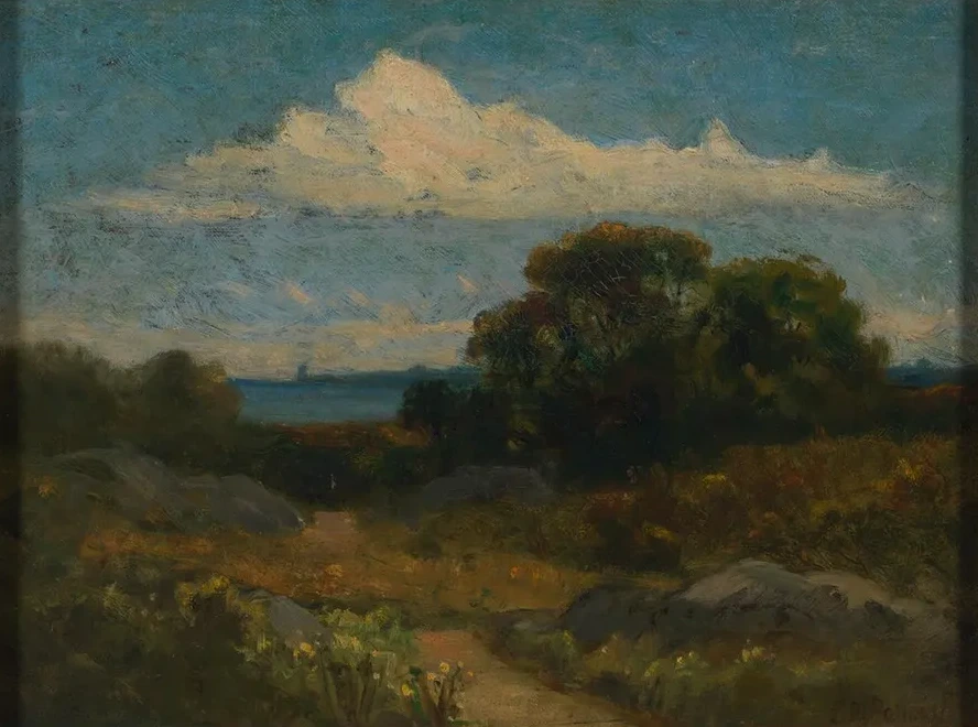 Landscape (trees and Rocks by Lake)