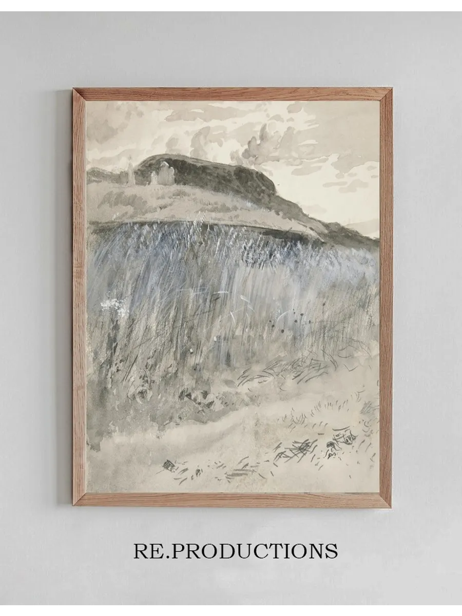 Landscape Fields