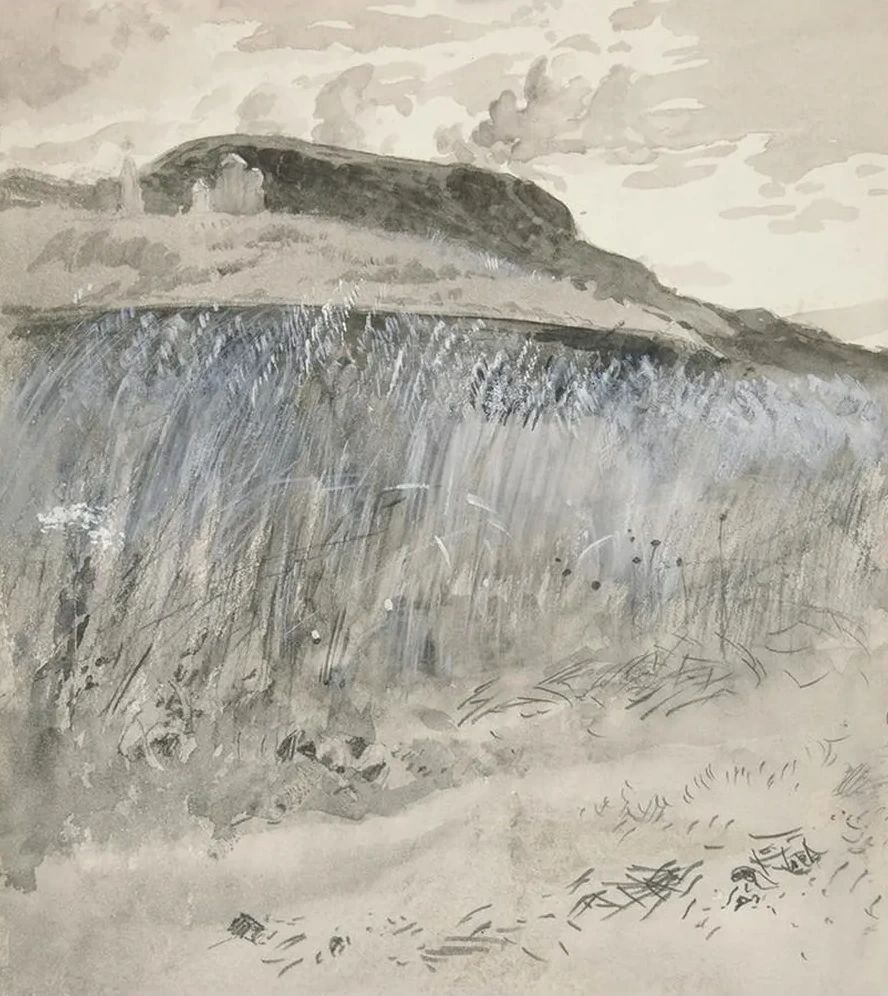 Landscape Fields