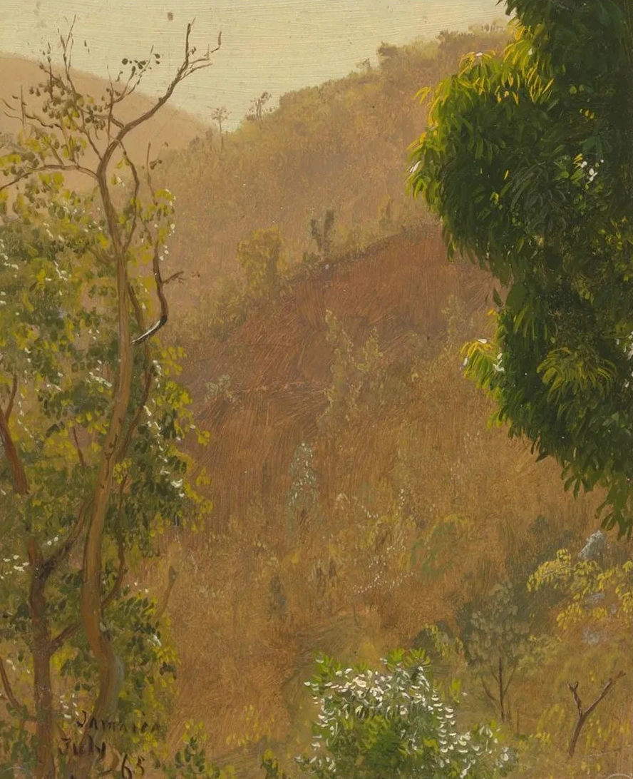 Landscape IV