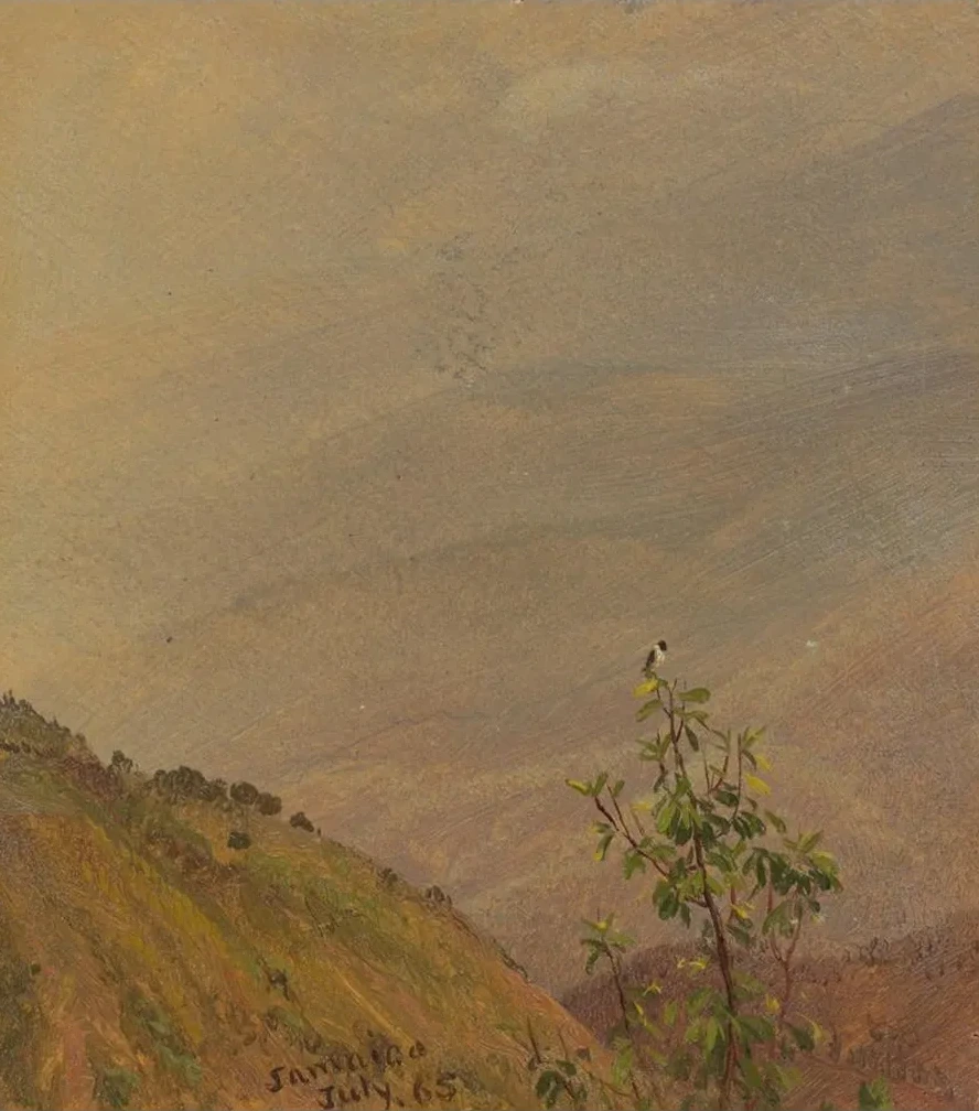 Landscape VI