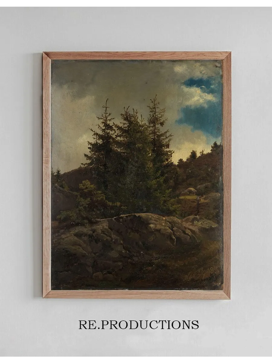 Landscape from Nes in Hallingdal