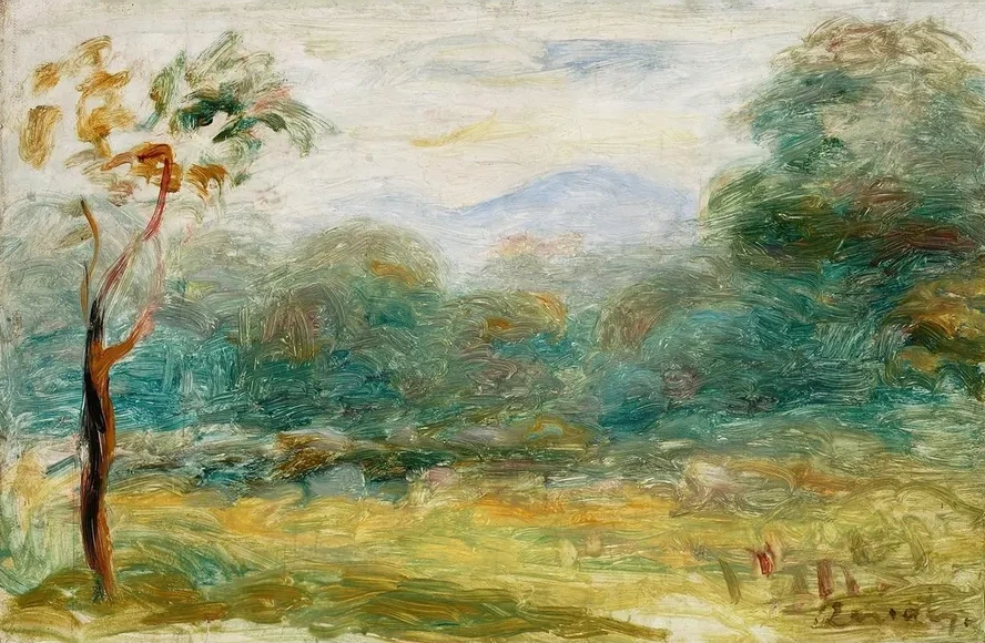 Landscape from the South of France (cagnes - Sur - Mer)