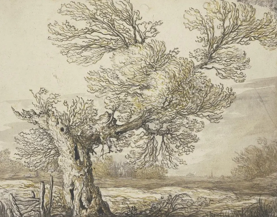 Landscape Near Dordrecht