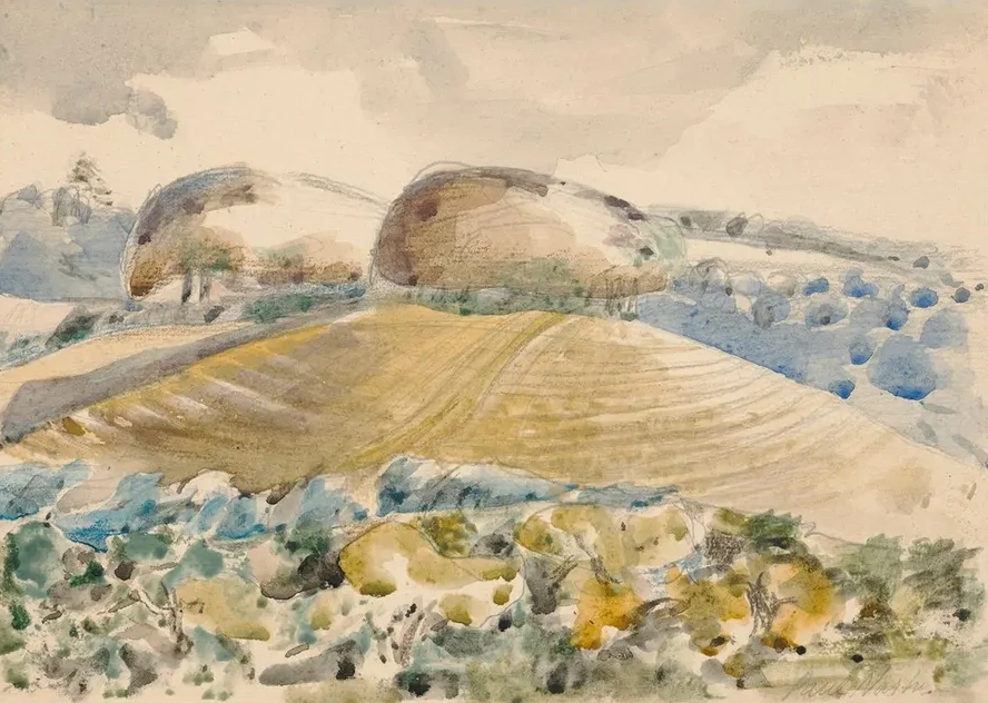 Landscape of the Wittenham Clumps