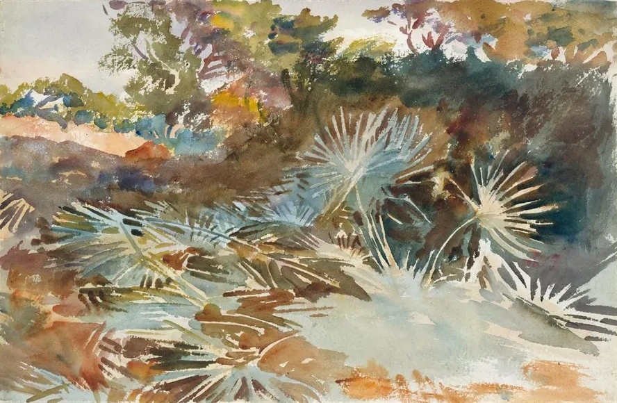 Landscape with Palmettos