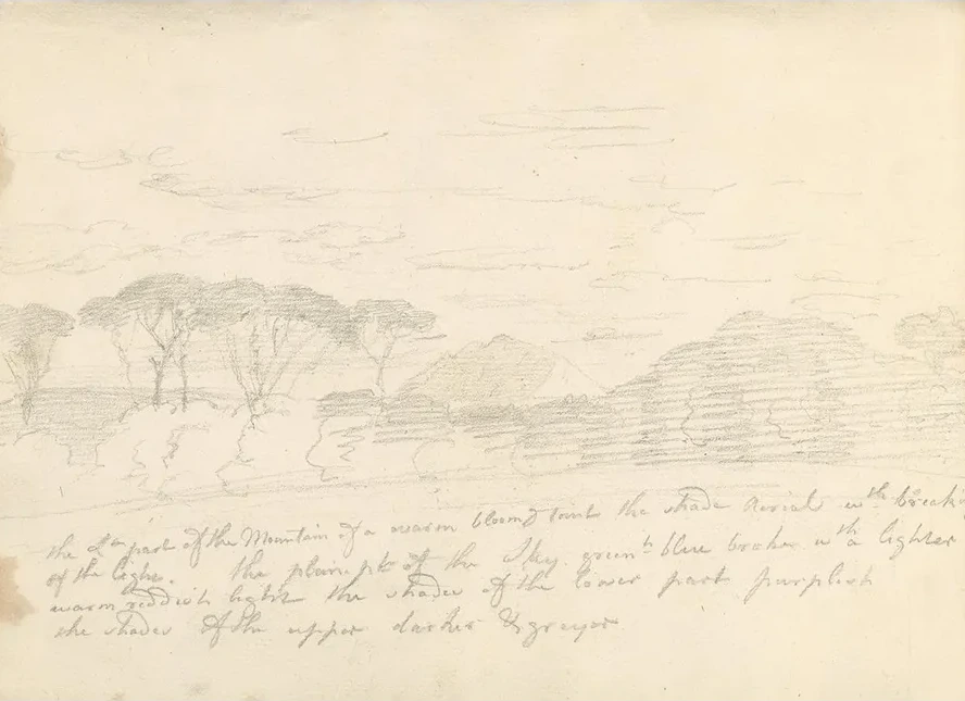 Landscape with Umbrella Pines and Distant Mountain