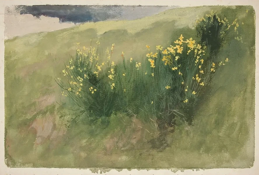 Landscape Withwildflowers