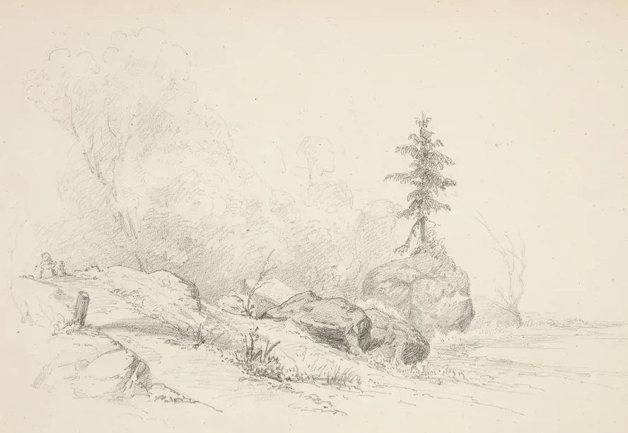 Landscape