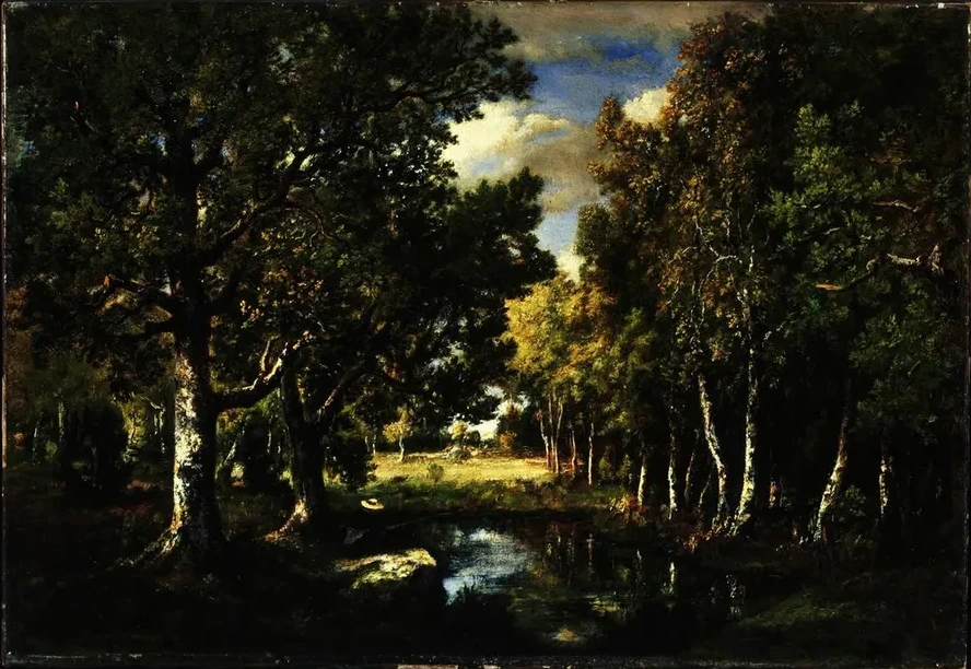 Landscape