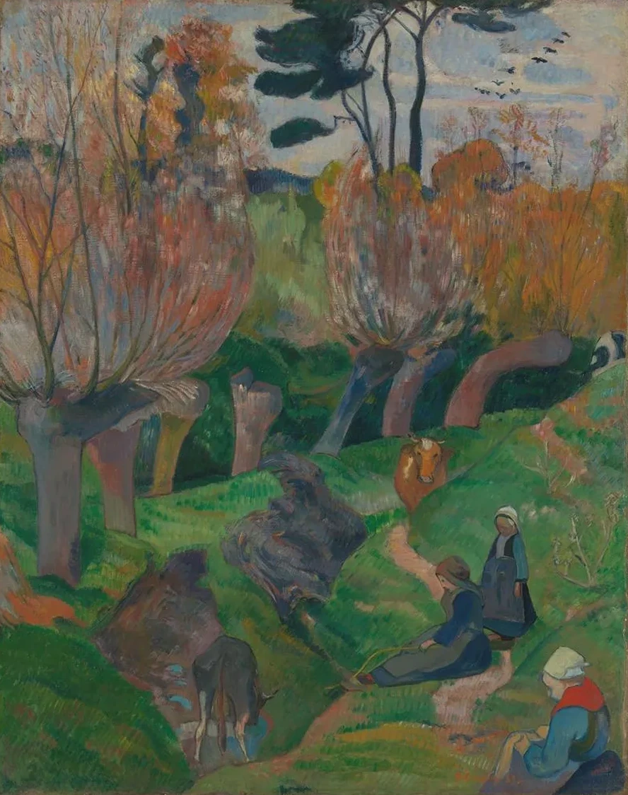 Landscape