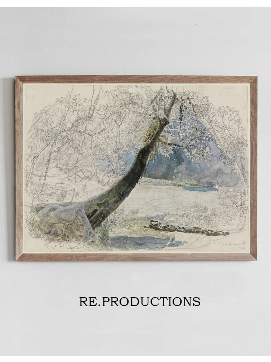 Landschaft Am Seeufer