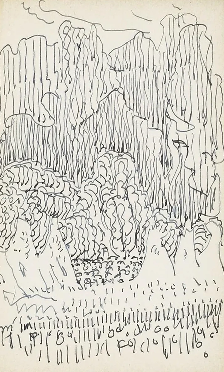 Landschap Met Bomen