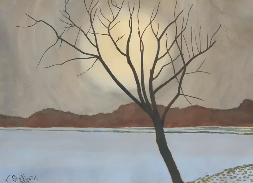 Landschap Met Boom Op Het Voorplan