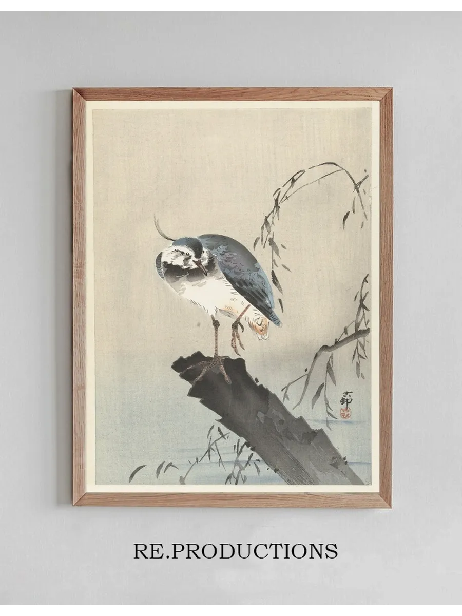 Lapwing on Tree Stump