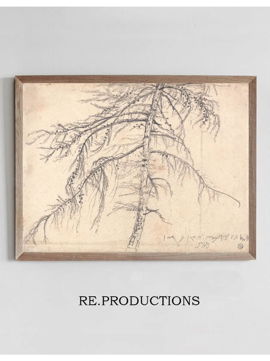Larch Tree