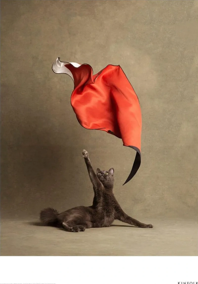 Le Chat Chic
