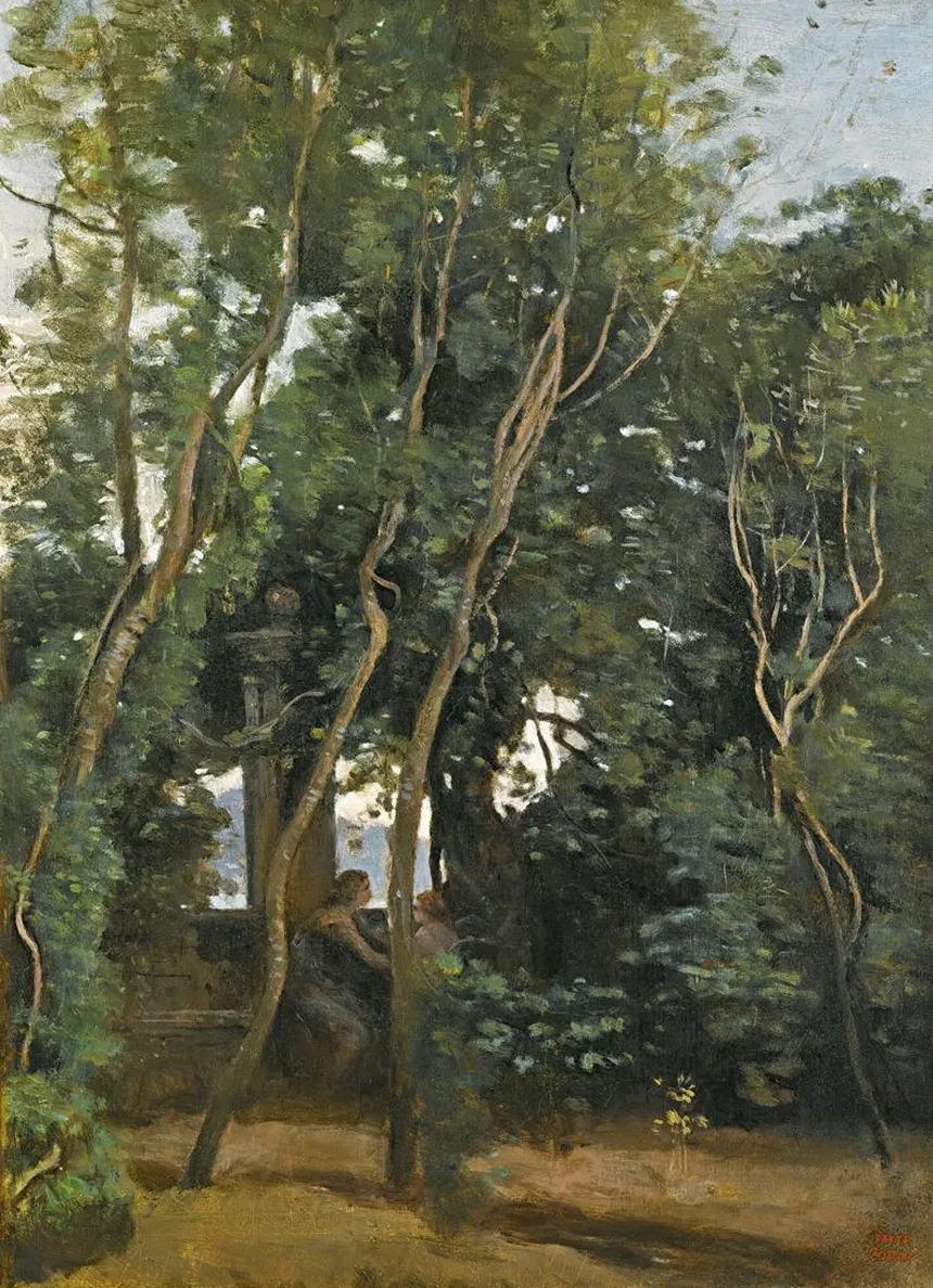 Le Matin Sous Les Arbres