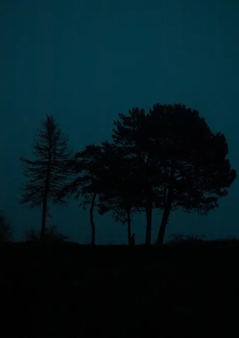 Le nuit Bleu