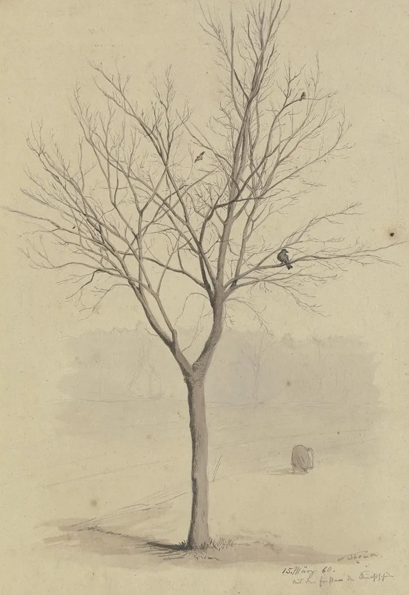Leafless Tree with Birds