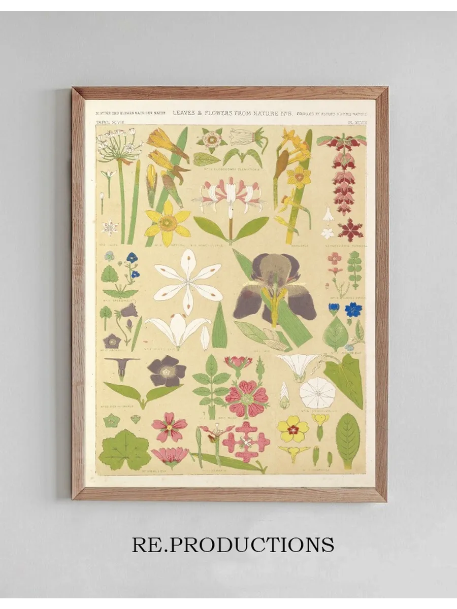 Leaves and Flowers from Nature No.8