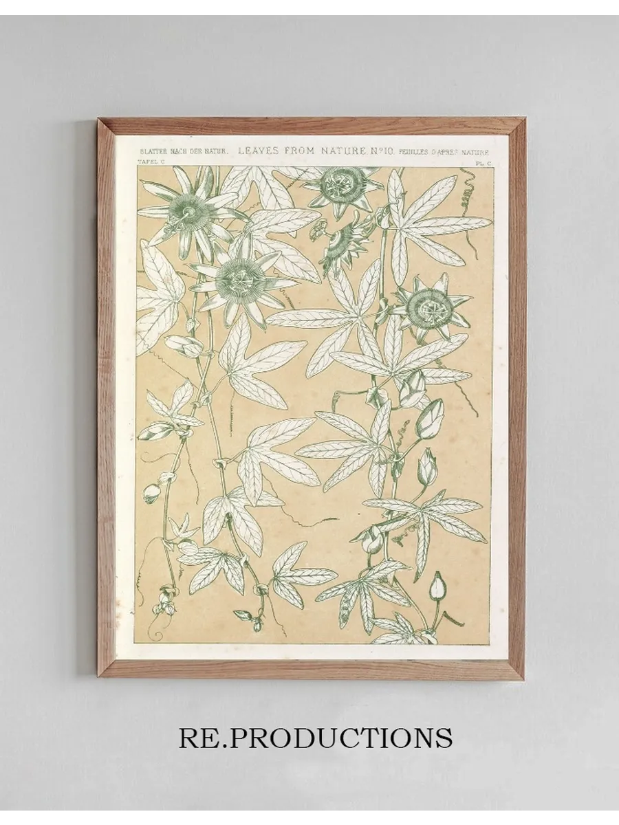 Leaves from Nature No.10