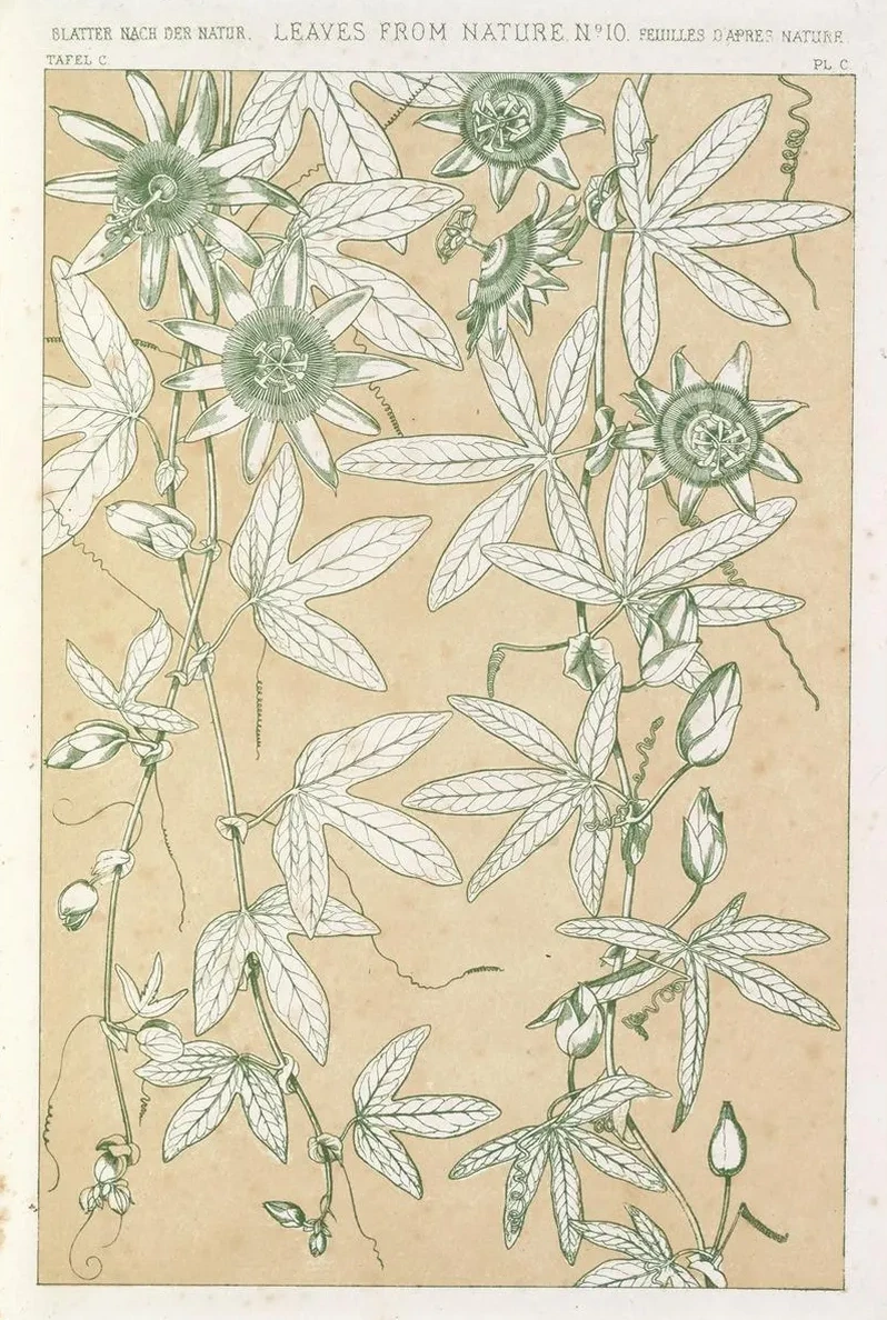 Leaves from Nature No.10