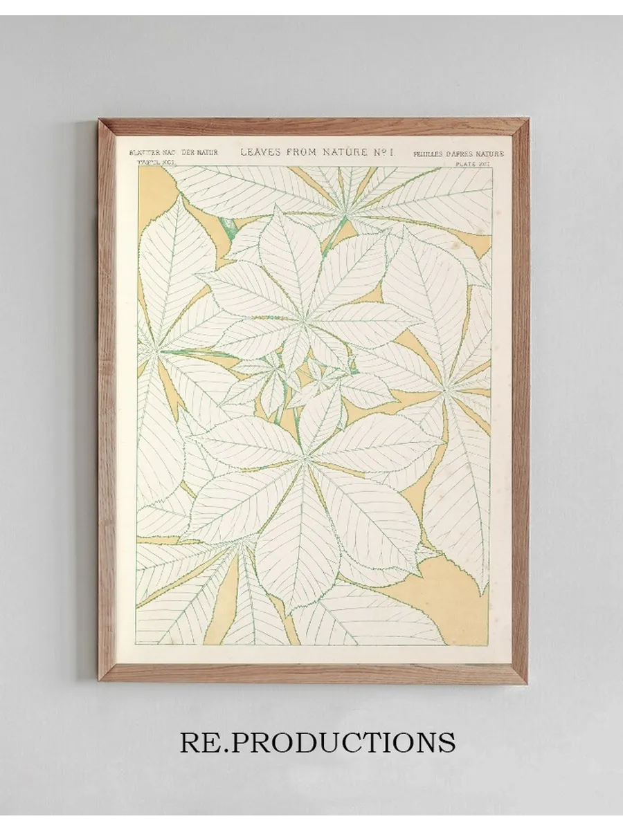 Leaves from Nature No.1
