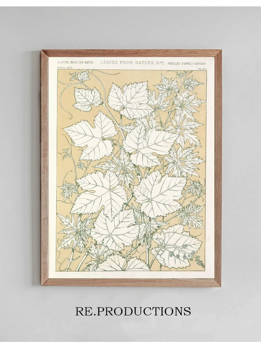 Leaves from Nature No.2