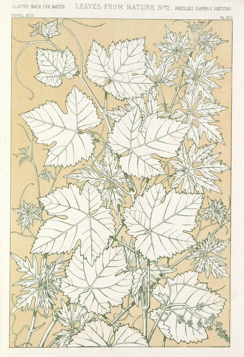 Leaves from Nature No.2