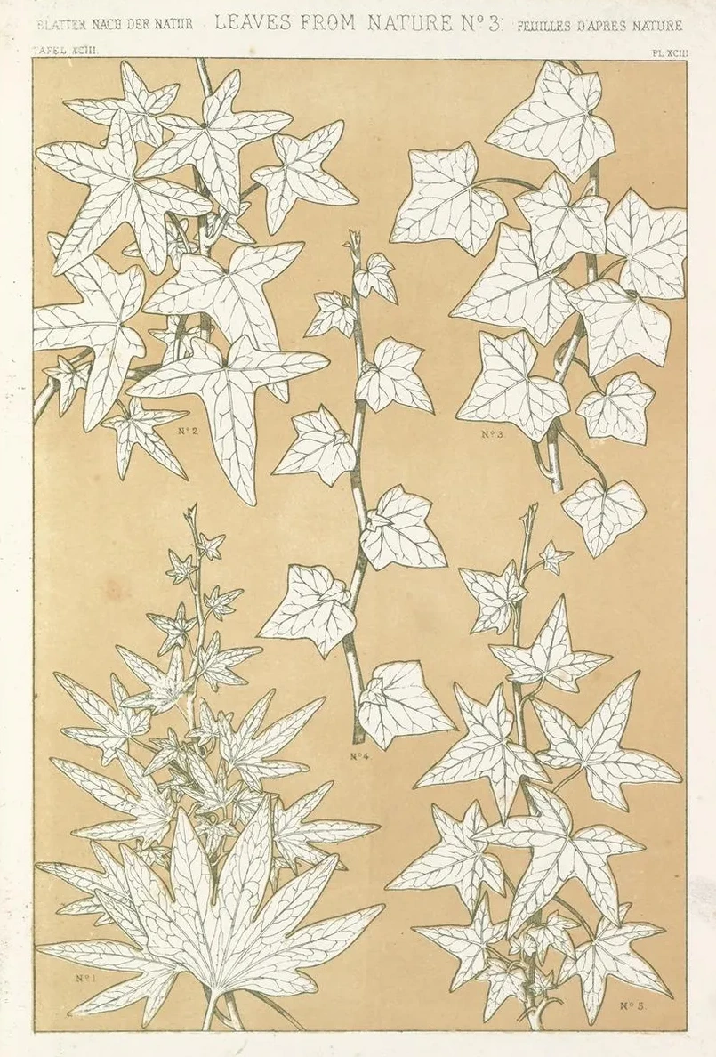 Leaves from Nature No.3