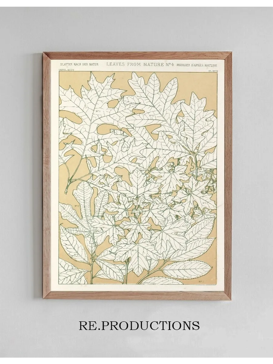 Leaves from Nature No.4