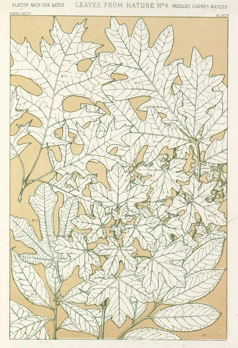 Leaves from Nature No.4