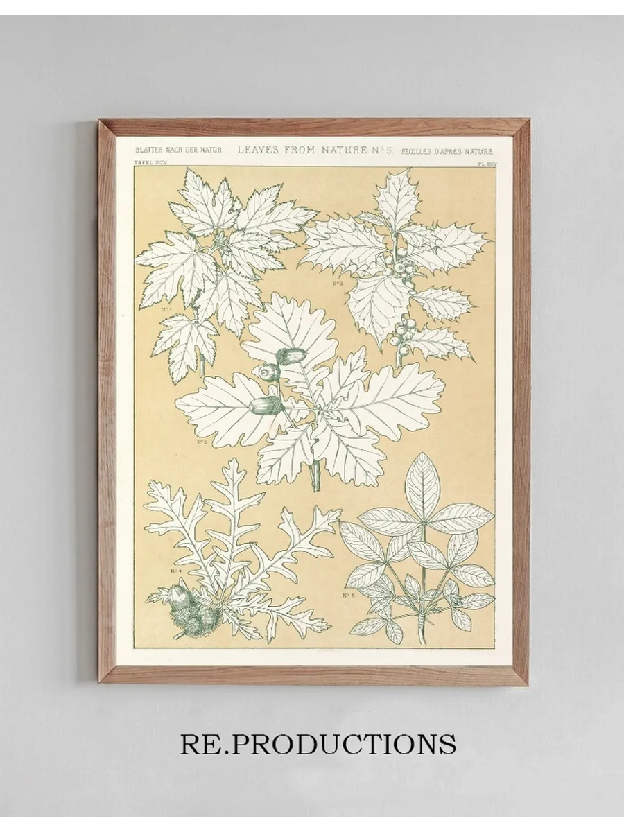 Leaves from Nature No.5