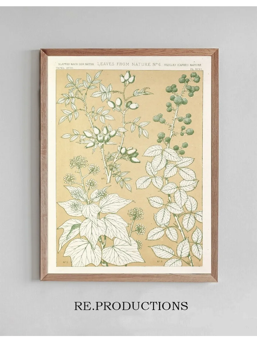 Leaves from Nature No.6