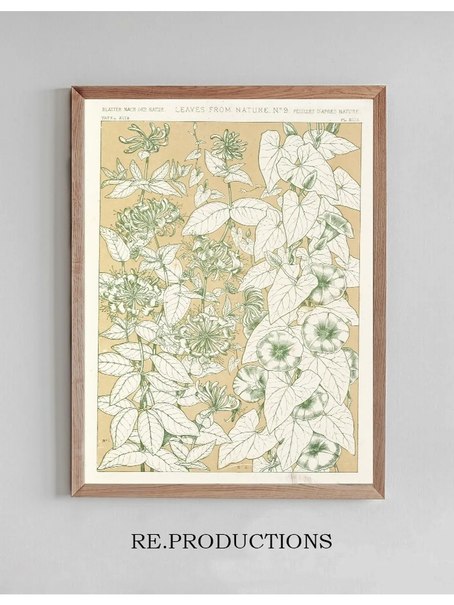 Leaves from Nature No.9