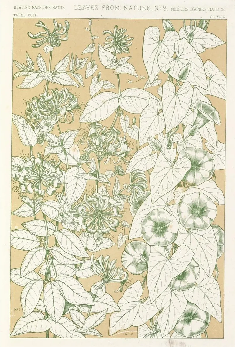 Leaves from Nature No.9