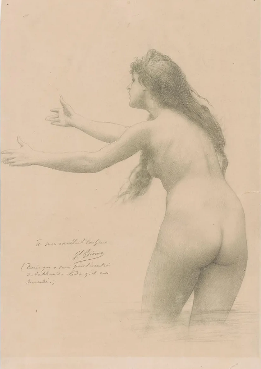 Leda