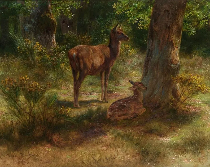 Les Cerfs Et Les Fauves Dans Un Bois