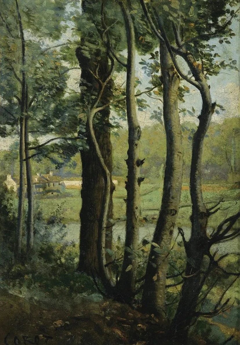 Les Evaux, Pr's Ch Teau - Thierry, Chemin Bord D Arbres