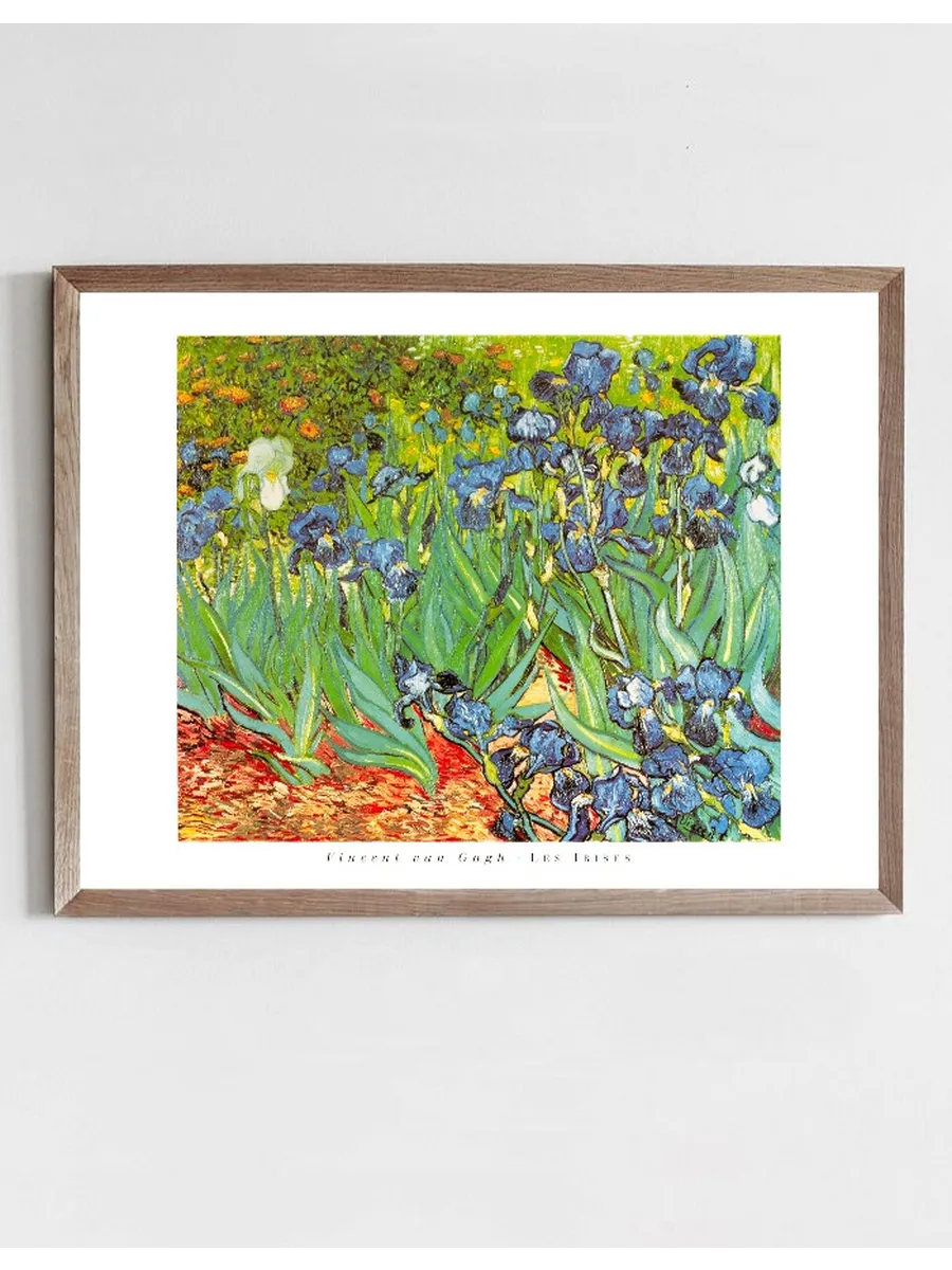 Les Irises