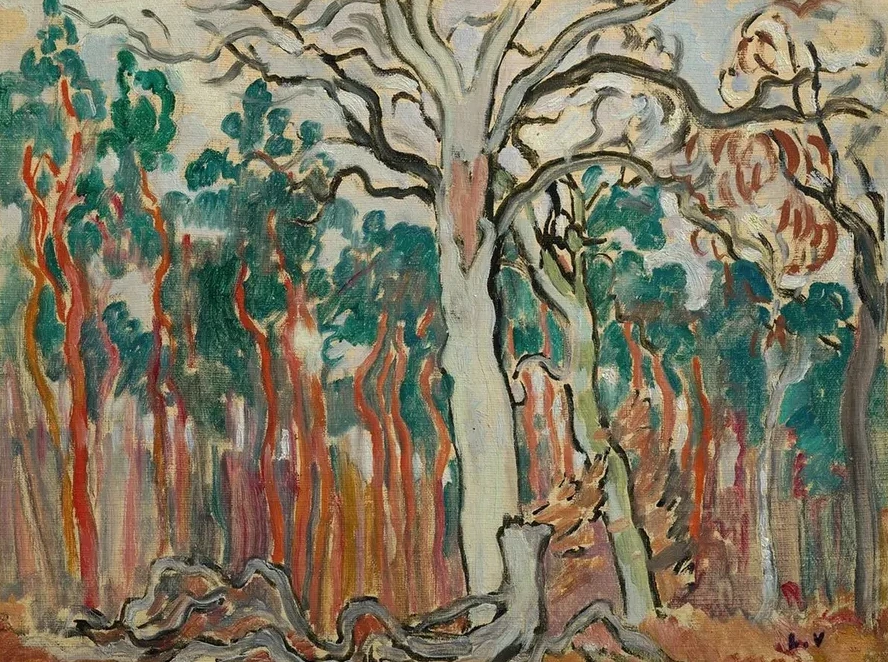 Les Arbres En Sologne