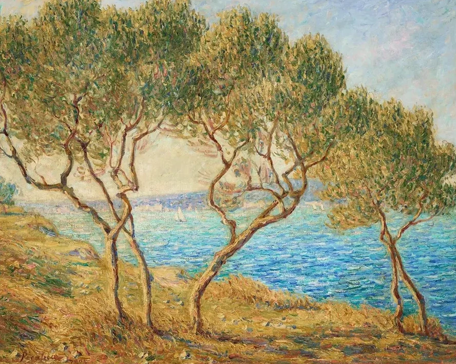 Les Oliviers, Effet de Soleil Aux Martigues