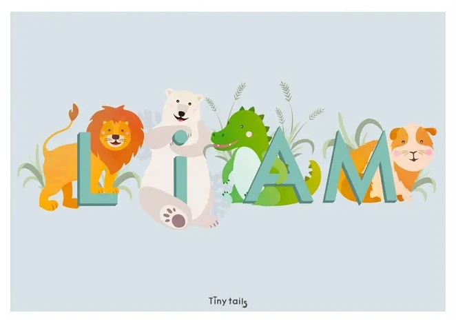 Liam - Bl