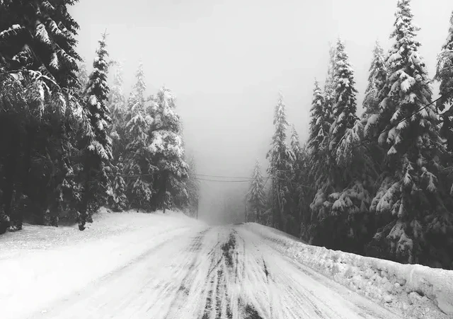 Lifjell