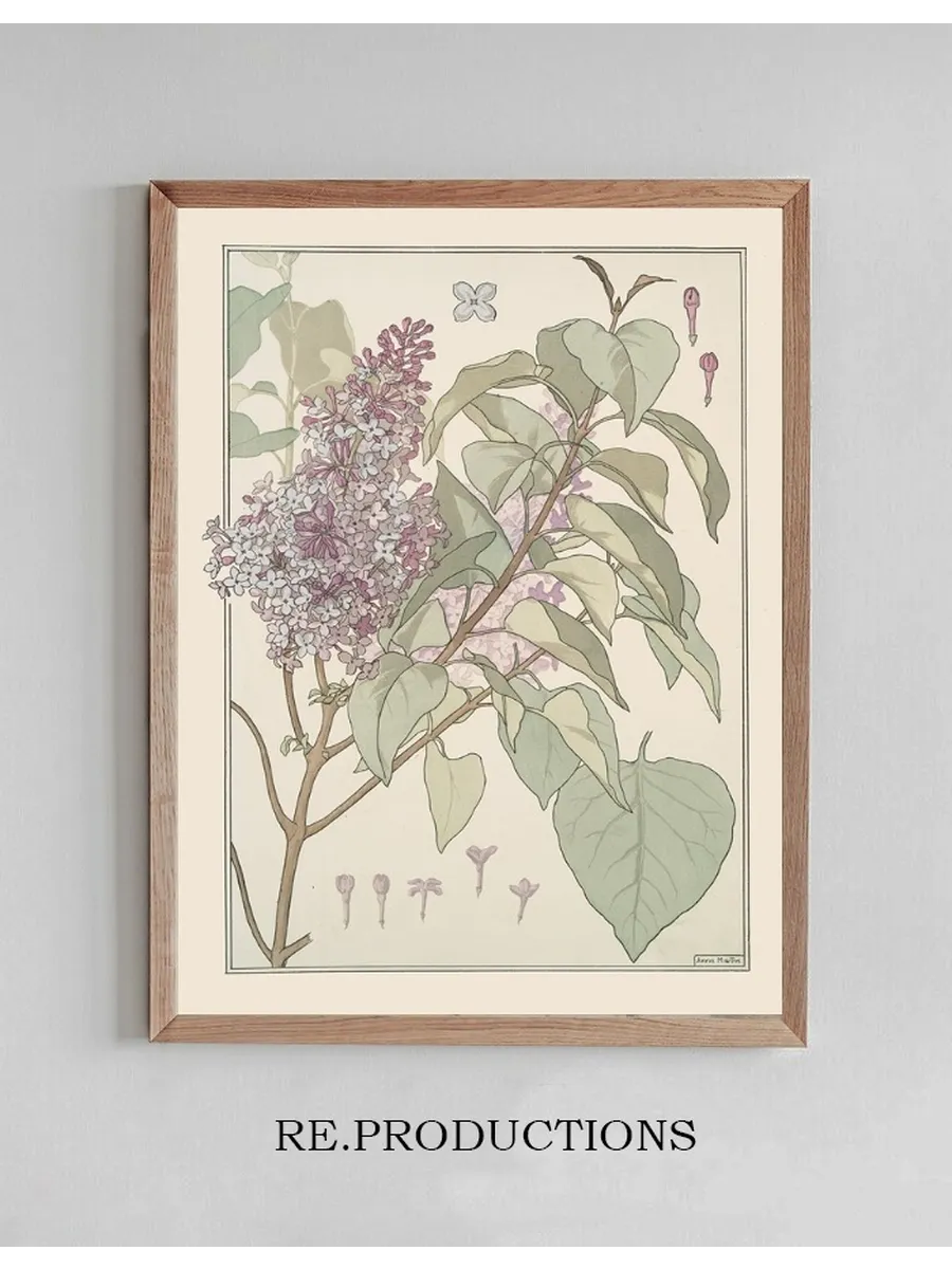 Lilas